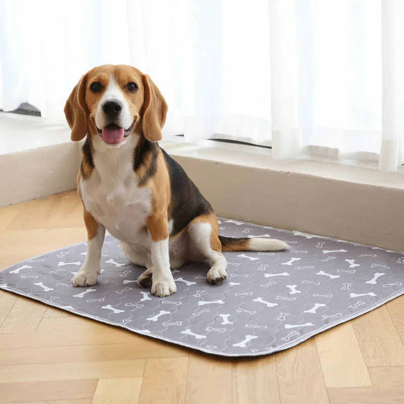 NovaPaw™ Senior Dog Pads